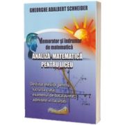 Memorator si indrumar de matematica. Analiza matematica pentru liceu