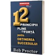 12 Principii pline de forta pentru obtinerea succesului