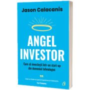 Angel Investor. Cum sa investesti intr-un start-up din domeniul tehnologiei