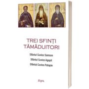 Trei sfinti tamaduitori: Sfantul Samson, Sfantul Agapit, Sfantul Patapie