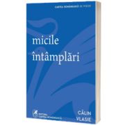 micile intamplari