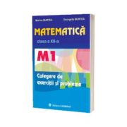 Matematica culegere de exercitii si probleme M1, clasa a XII-a