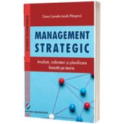 Management strategic. Analiza, indicatori si planificare bazata pe teorie