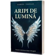 Aripi de lumina: Povestiri vindecatoare despre Arhangheli