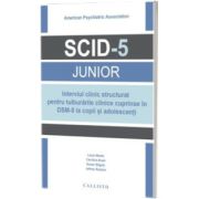 Interviul clinic structurat pentru tulburarile clinice cuprinse in DSM-5 la copii si adolescenti (SCID-5 Junior)