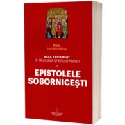 Noul Testament in talcuirea Sfintilor Parinti. Volumul IX - Epistolele Sobornicesti