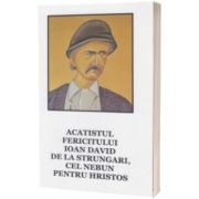 Acatistul fericitului Ioan David de la Strungari, cel nebun pentru Hristos