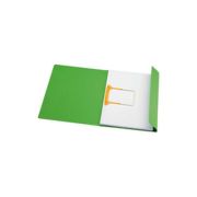 Dosar carton color cu alonja arhivare de mare capacitate, DJOIS Secolor - verde