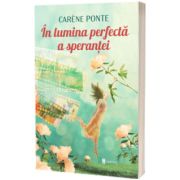 In lumina perfecta a sperantei