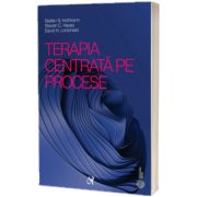 Terapia centrata pe procese