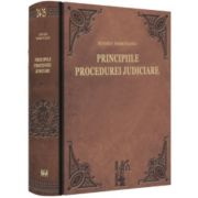 Principiile procedurei judiciare