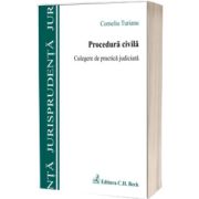 Procedura civila. Culegere de practica judiciara