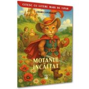 Motanul incaltat
