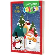 Fulg de nea. Cartea mea de colorat