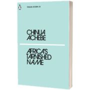 Africas Tarnished Name
