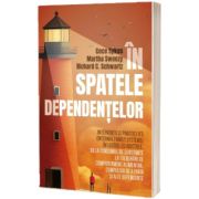 In spatele dependentelor