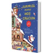 Surpriza pentru Mos Craciun