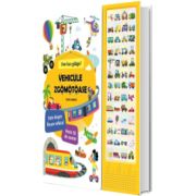 Vehicule zgomotoase. Cine face galagie?