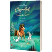 Clopotel, poneiul de Craciun