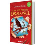 Cum sa-ti dresezi dragonul