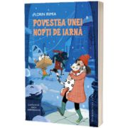 Povestea unei nopti de iarna