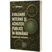 Evaluare interna si achizitii publice in Romania