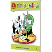 Ma joc si invat numere