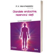 Glandele endocrine, rezervorul vietii. Cum sa ne umplem de energie