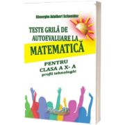 Teste grila de autoevaluare la matematica pentru clasa a X - a profil tehnologic