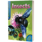 Insects