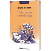 Uneori ajunge o simpla raza