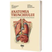 Anatomia trunchiului