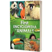 Kingfisher First Encyclopedia of Animals
