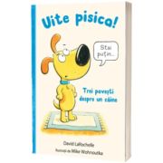Uite pisica! Trei povesti despre un caine