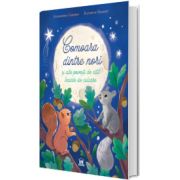 Comoara dintre nori si alte povesti de citit inainte de culcare
