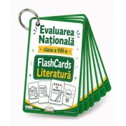 Flash cards literatura