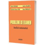 Probleme de examen. Analiza matematica