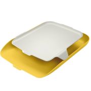 Tavita documente Cosy, PS, A4, cu organizator, galben chihlimbar