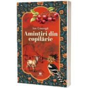 Amintiri din copilarie