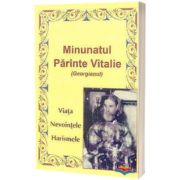 Minunatul Parinte Vitalie (Georgianul)