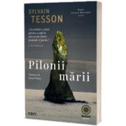 Pilonii marii