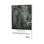 Tainele ingerului decazut