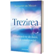 Trezirea