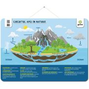 Circuitul apei in natura