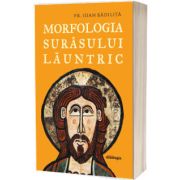 Morfologia surasului launtric