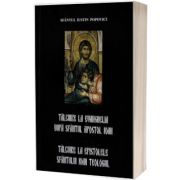 Talcuire la Evanghelia dupa Sfantul Apostol Ioan