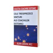 Cele treisprezece simturi ale coachilor sistemici