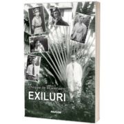 Exiluri
