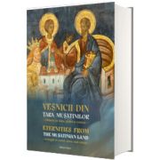 Vesnicii din Tara Musatinilor ctitorite in lemn, piatra si culoare