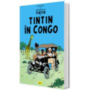 Aventurile lui Tintin